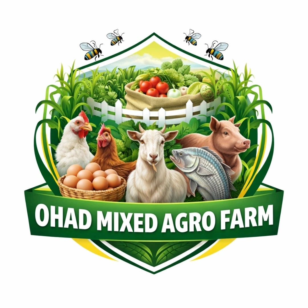 OHAD Mixed Agro Farm