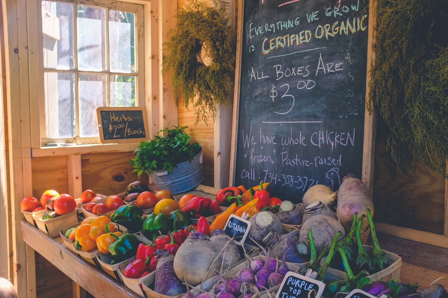 5 Sustainable Farming Practices We Swear By