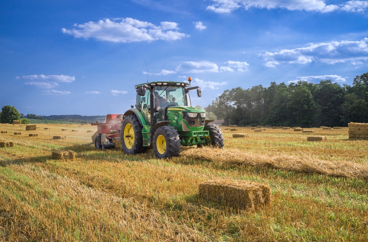 Choosing the Best Crops for Your Family