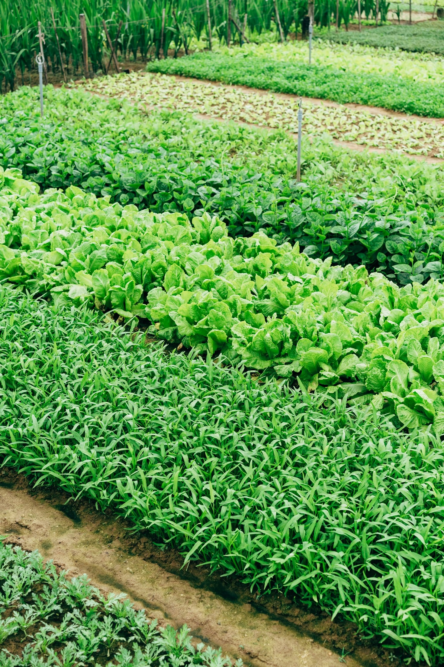 Becoming Partners for a Greener Tomorrow